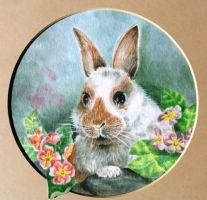 Bunny and Primroses