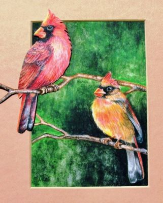 Colorful Cardinals
