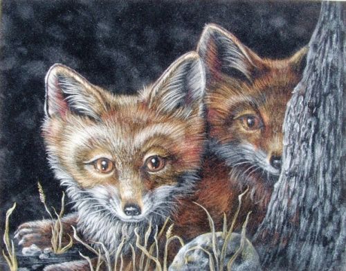 Hide and Seek Foxes